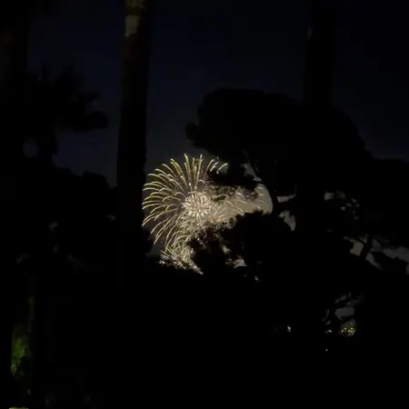 Luxury With Sea View And Private Access Канны